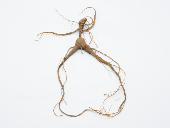 7. Sınıf İngilizce Ders Kitabı 106 Cevapları