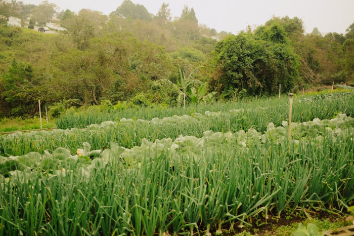 Farsça İngilizce Tercüme Ankara