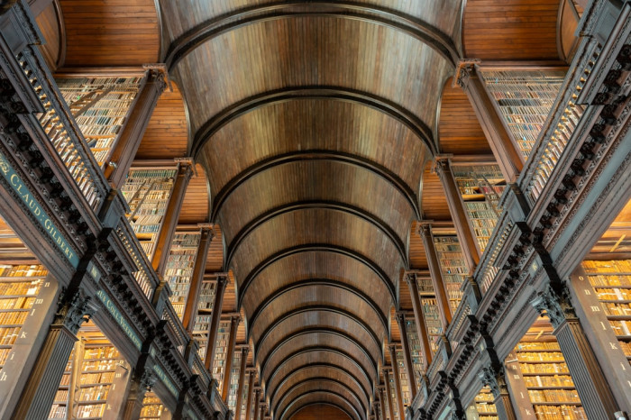 Dişi Aslanın İngilizcesi